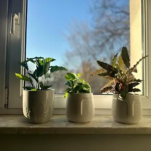  Apartament Smart Polska